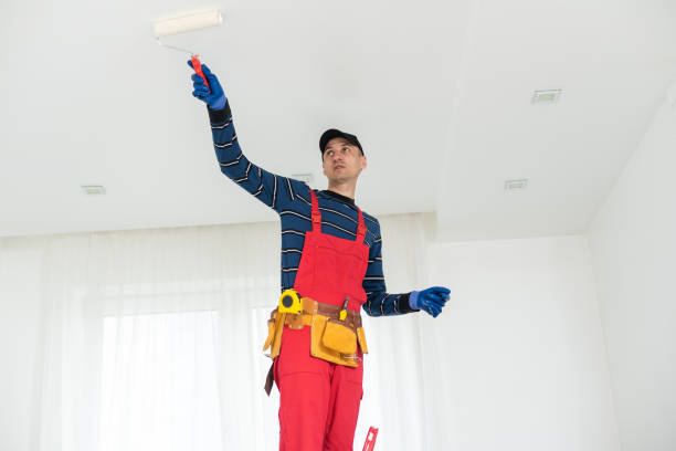 Best Water-Damaged Drywall Repair  in Moorhead, MS